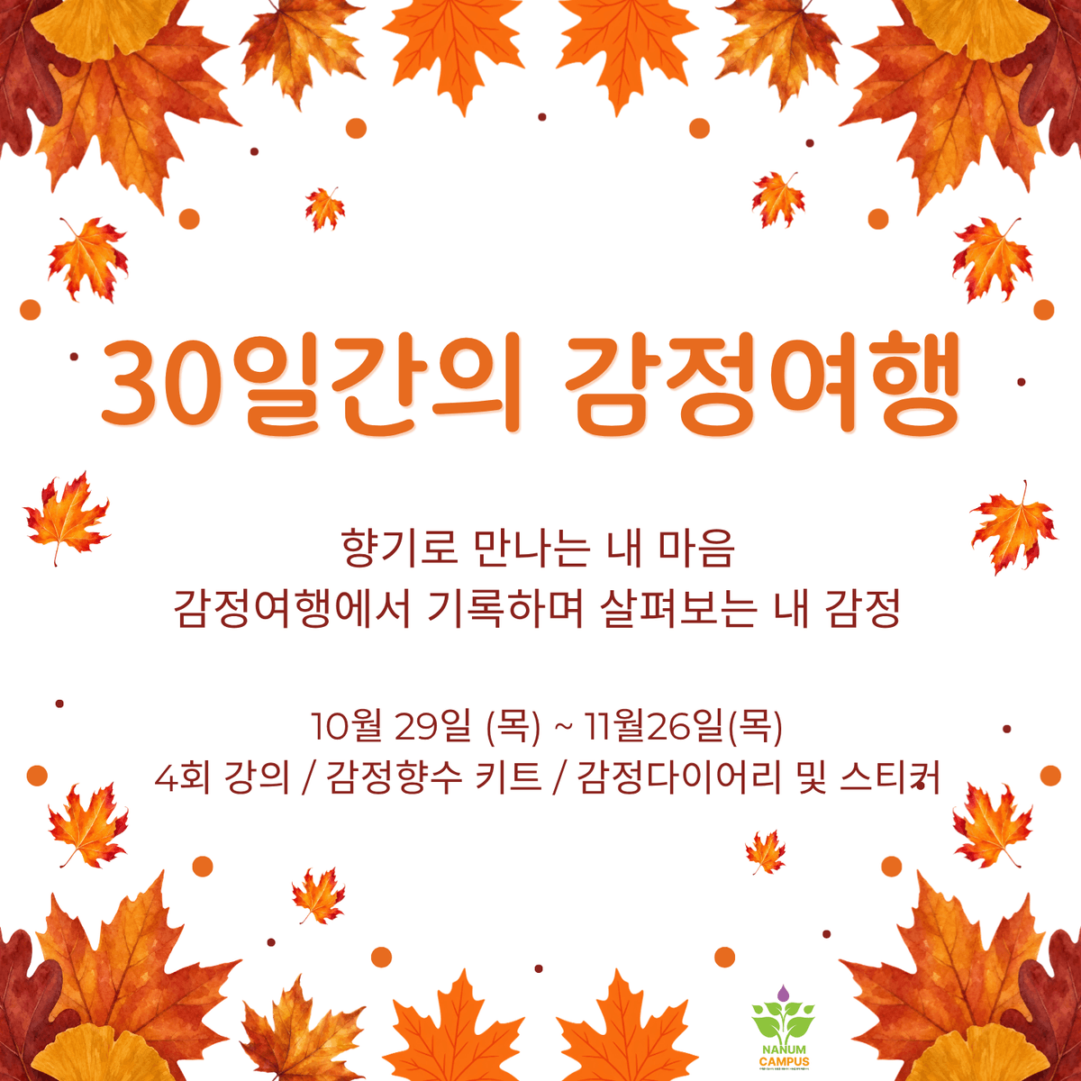 30일간의 감정여행