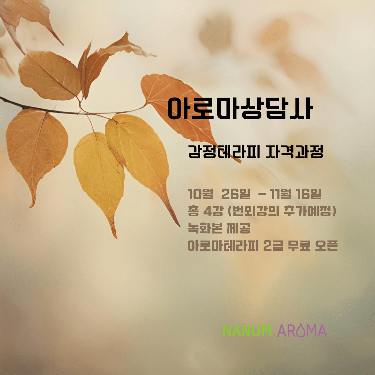아로마상담사 - 좋은 향을 넘어 마음을 읽는 시간