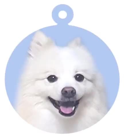 박미정
