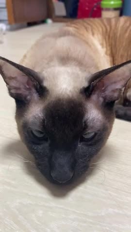 김재훈