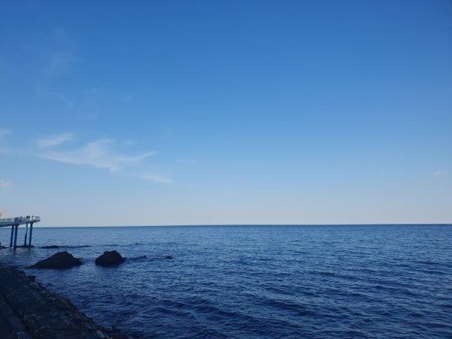 한중인