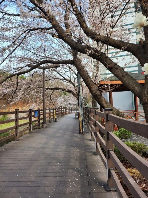 김영철