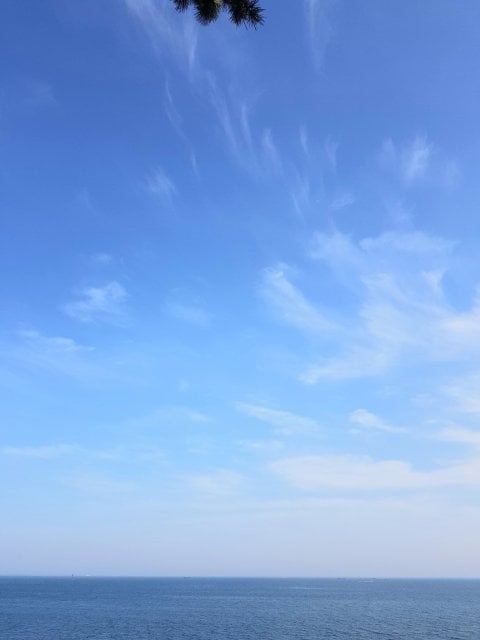 쩡수니
