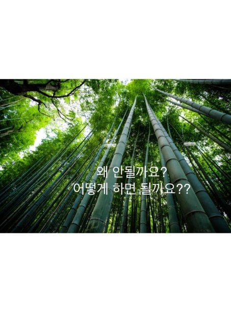 박금희🌱