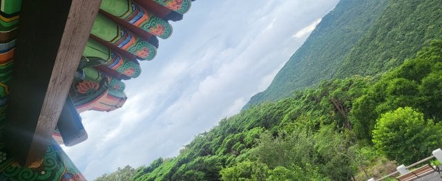 김현화