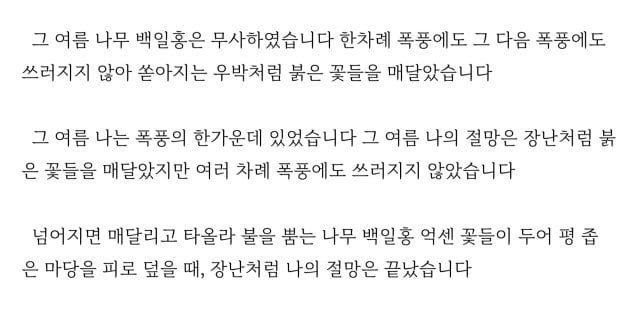 김정주