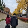 닥리치