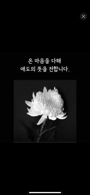 조영란/비긴어게인