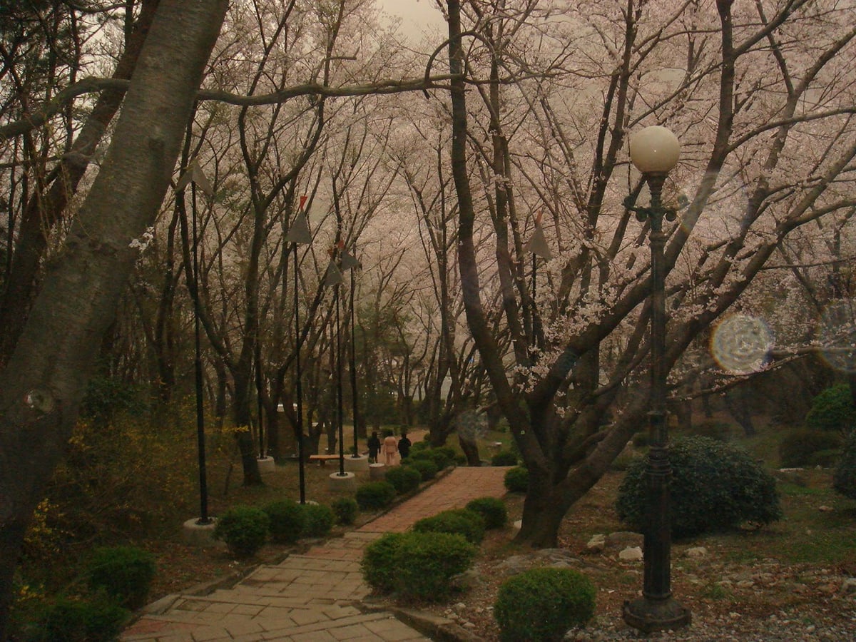 하늘