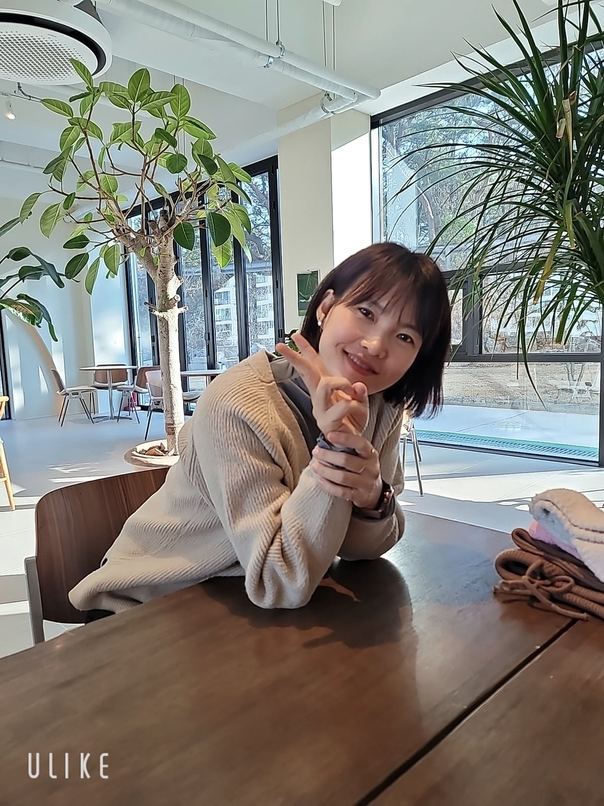 엄파 