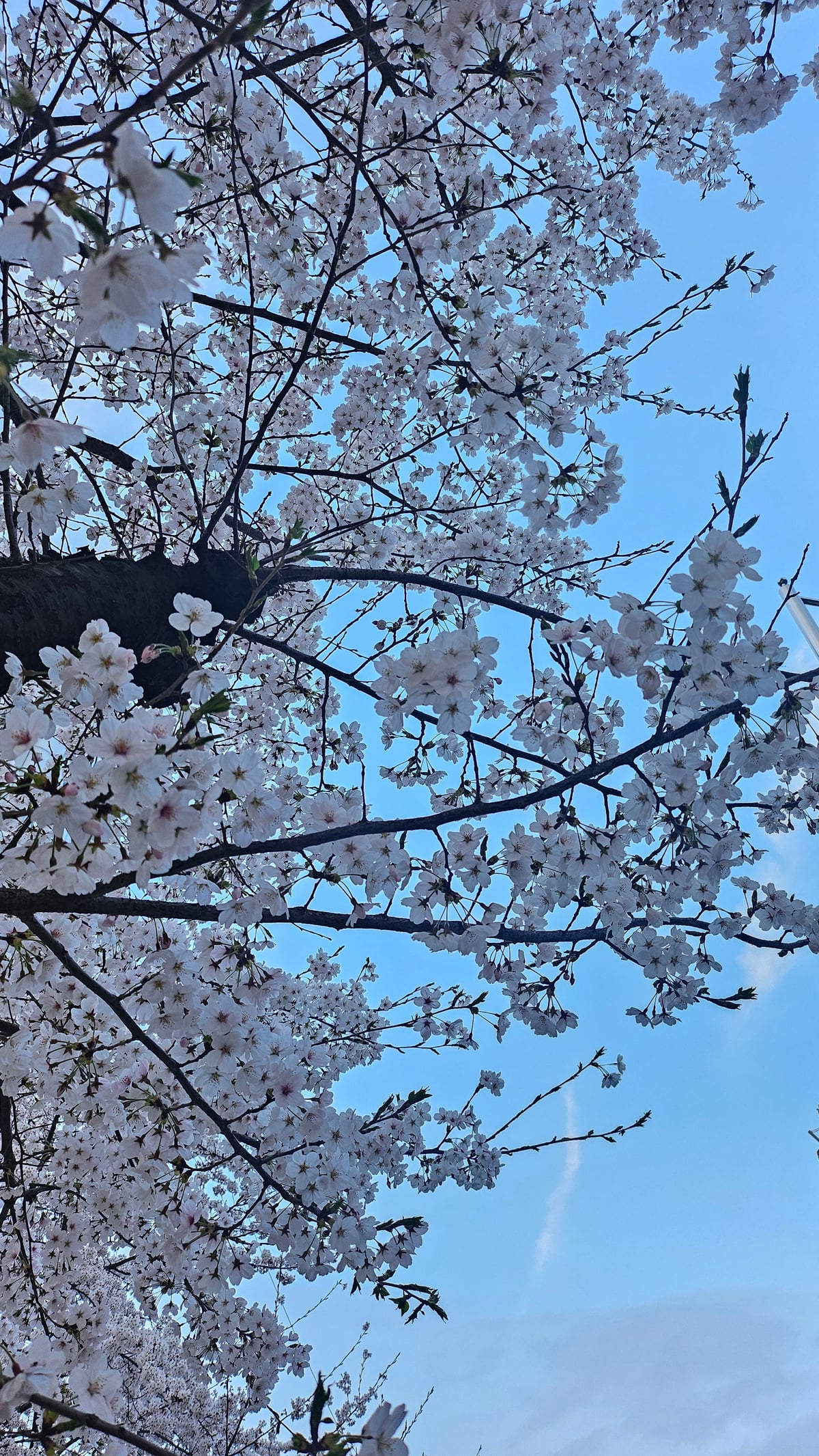 오해피쌤