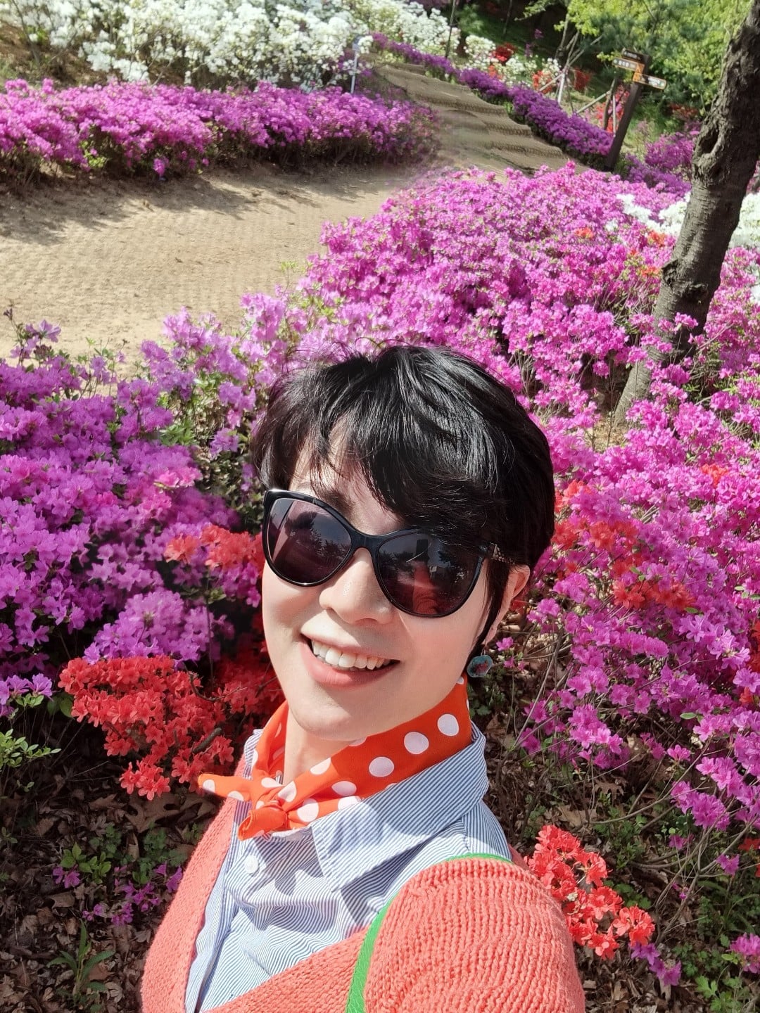 제페토와 떠나는 테마여행 