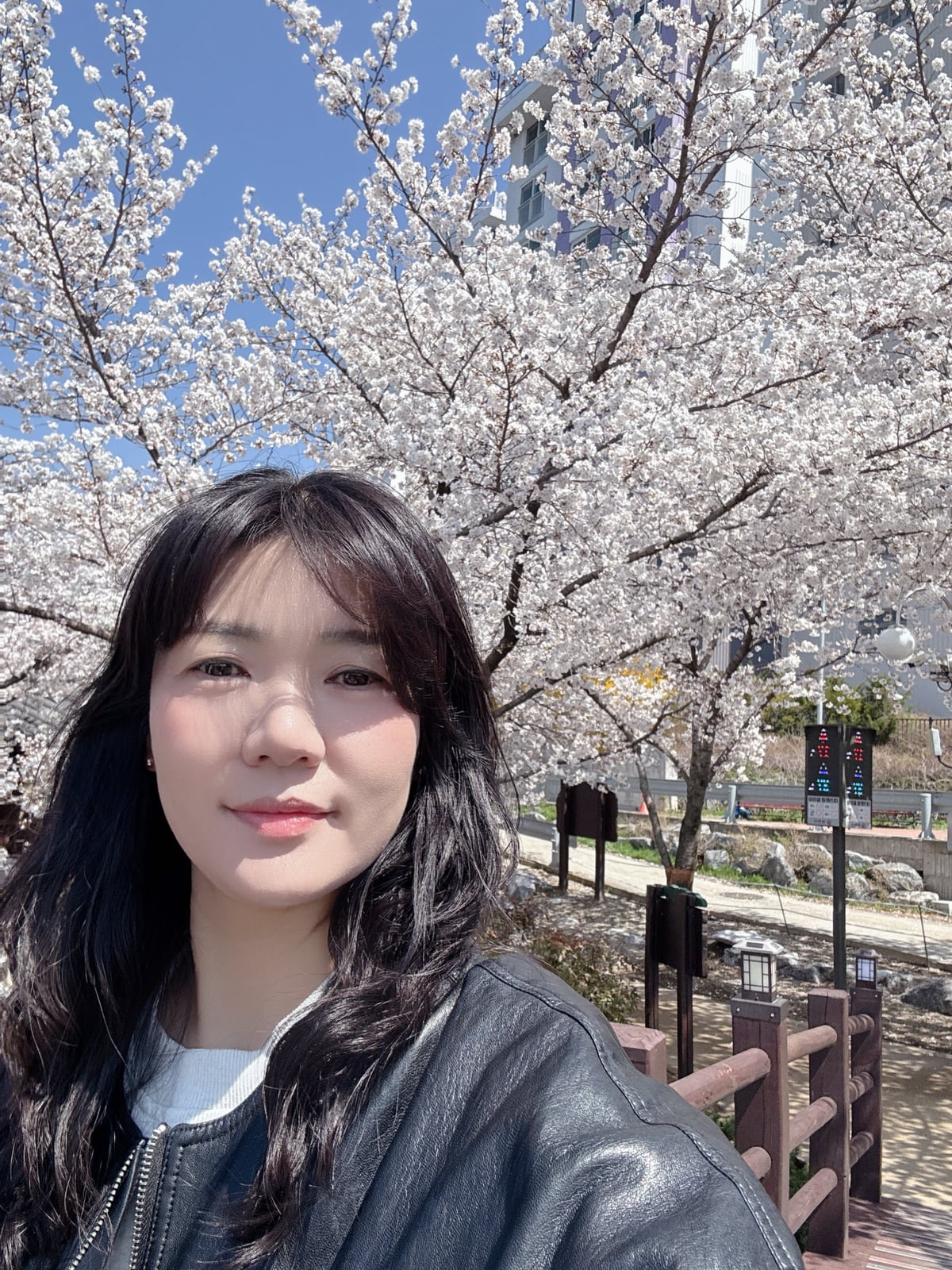 바늘마녀