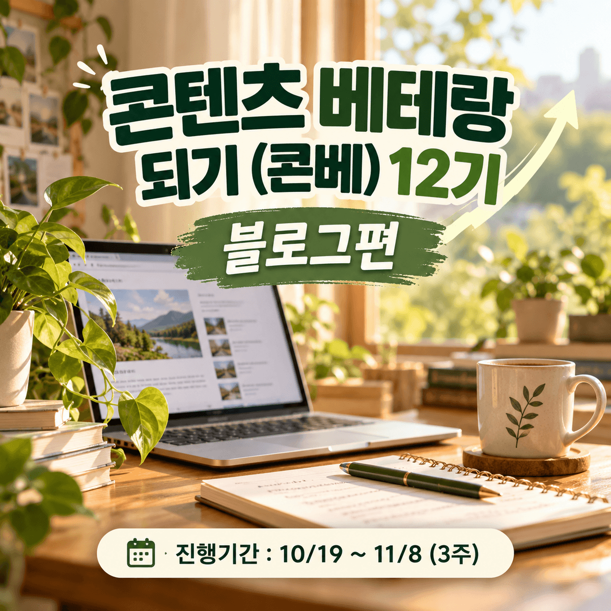 콘텐츠 베테랑 되기(콘베) 12기
