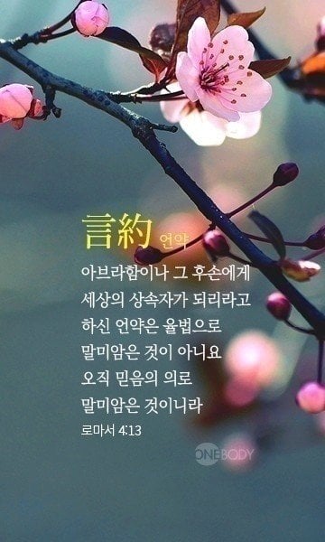 doyoun